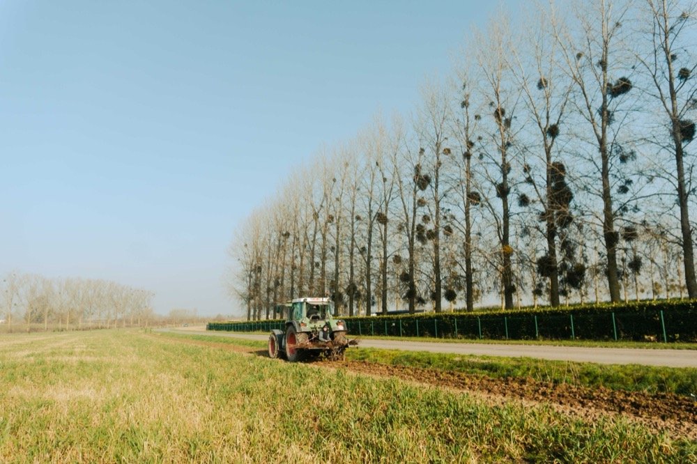 Planting